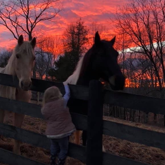 Meet your Posher, Theresa - Picture 1 of 1